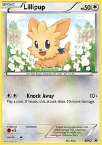 Lillipup