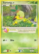 Turtwig