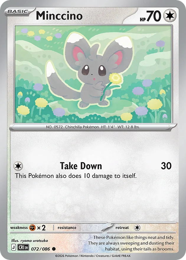 Minccino