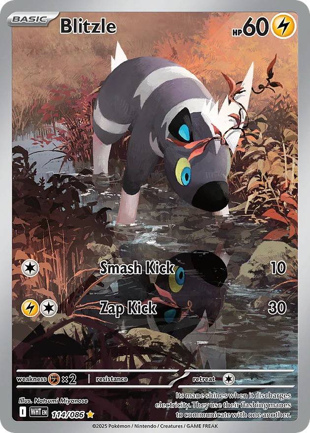 Blitzle