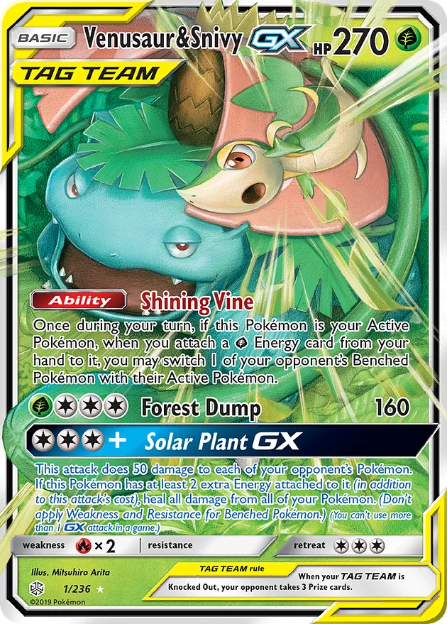 Venusaur & Snivy-GX