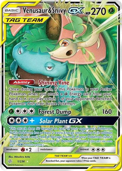 Venusaur & Snivy-GX