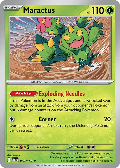 Maractus