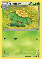 Skiploom