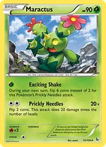 Maractus
