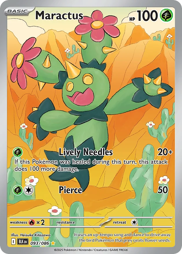 Maractus